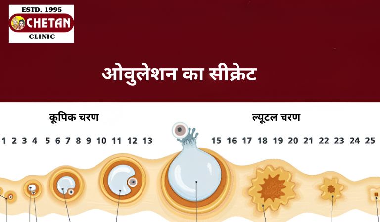 ओवुलेशन का सीक्रेट | Chetan Clinic Blog