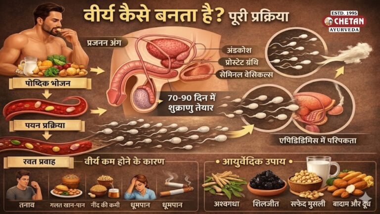 वीर्य कैसे बनता है? पूरी प्रक्रिया, समय और आयुर्वेदिक उपाय